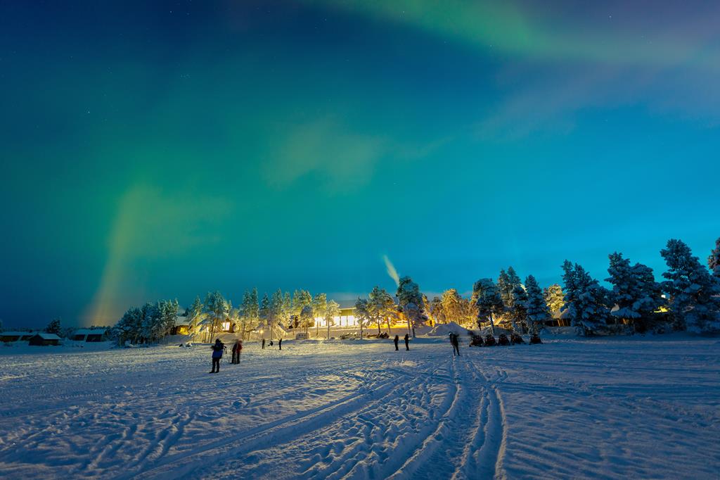 8 daagse excursiereis Arctic Light in the Forest